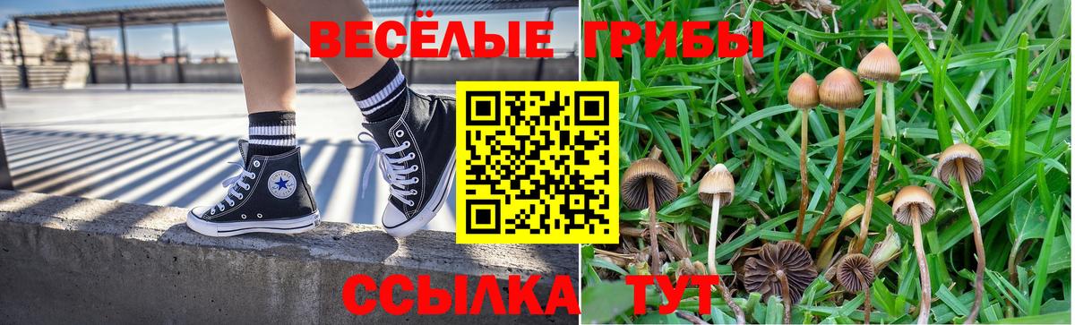 Галлюциногенные грибы MAGIC MUSHROOMS Горячий Ключ