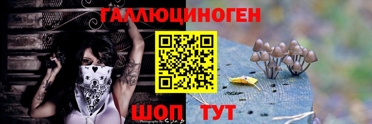 Горячий Ключ  Псилоцибиновые грибы прущие грибы  Вход с VPN  Псилоцибиновые грибы Cubensis 
